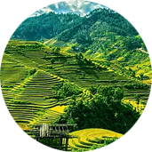 创意农业依托型