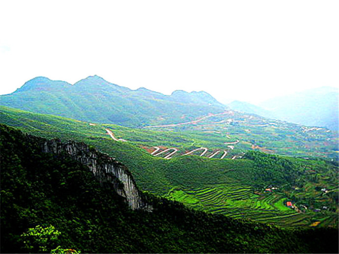 御业观察｜最高法发布依法保护农用地典型案例