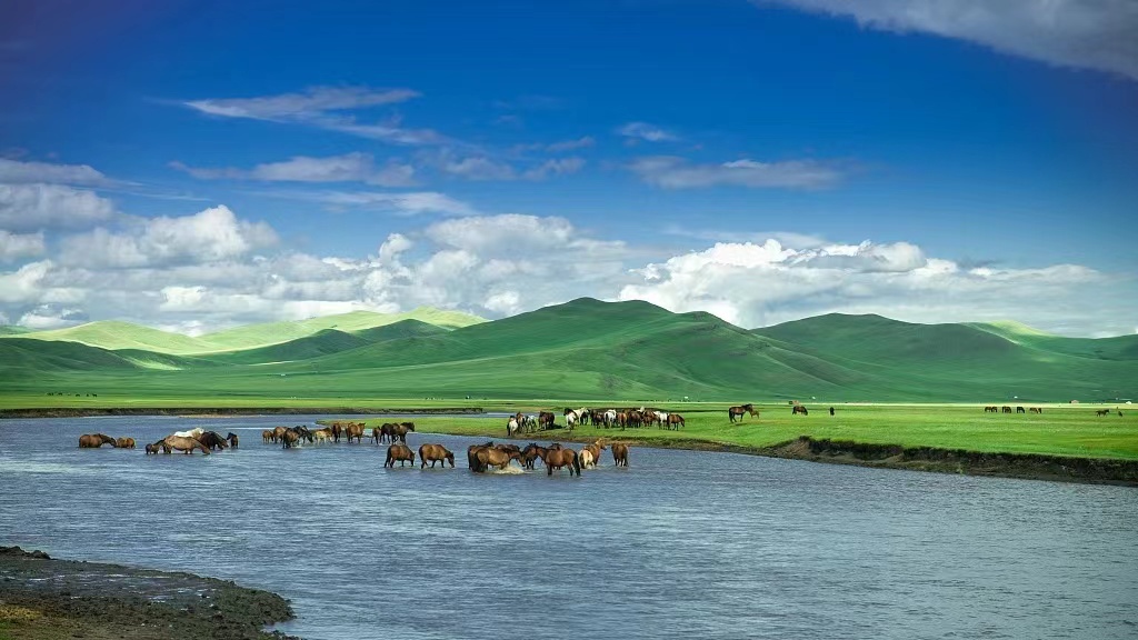 行业快讯：三大市场暑期热点关注