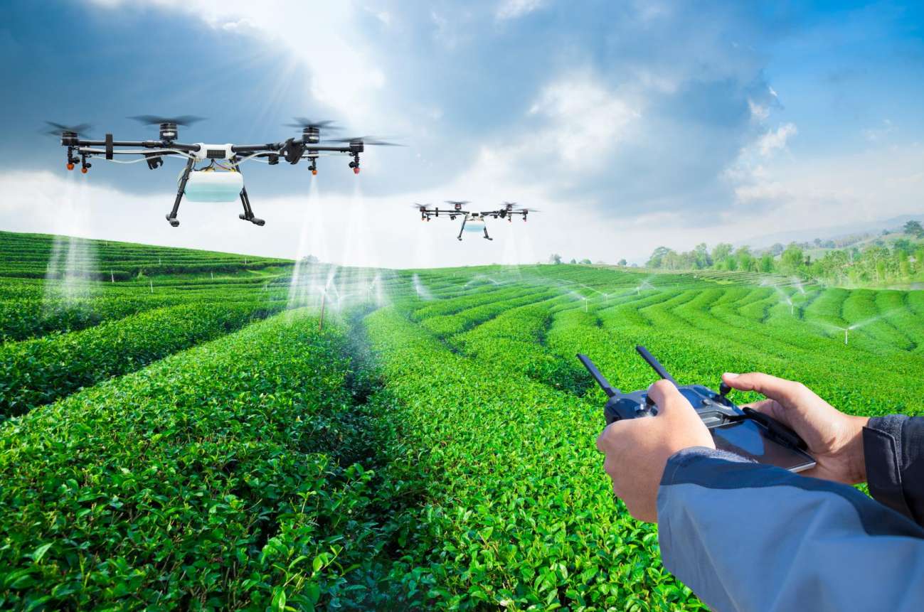 乡村振兴的9大发展模式