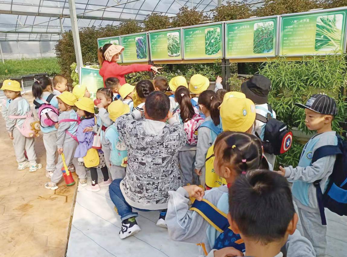 四川成立省级城市更新平台！50亿如何玩转市场？